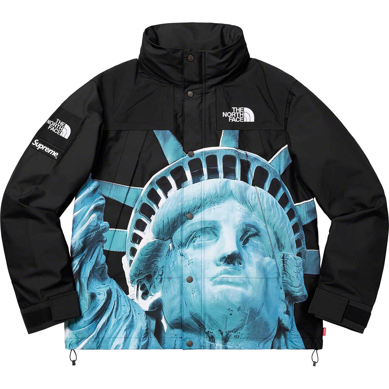 Supreme®/The North Face® Statue of Liberty Mountain Jacket view 9